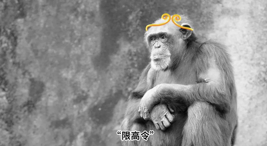 大安大厦