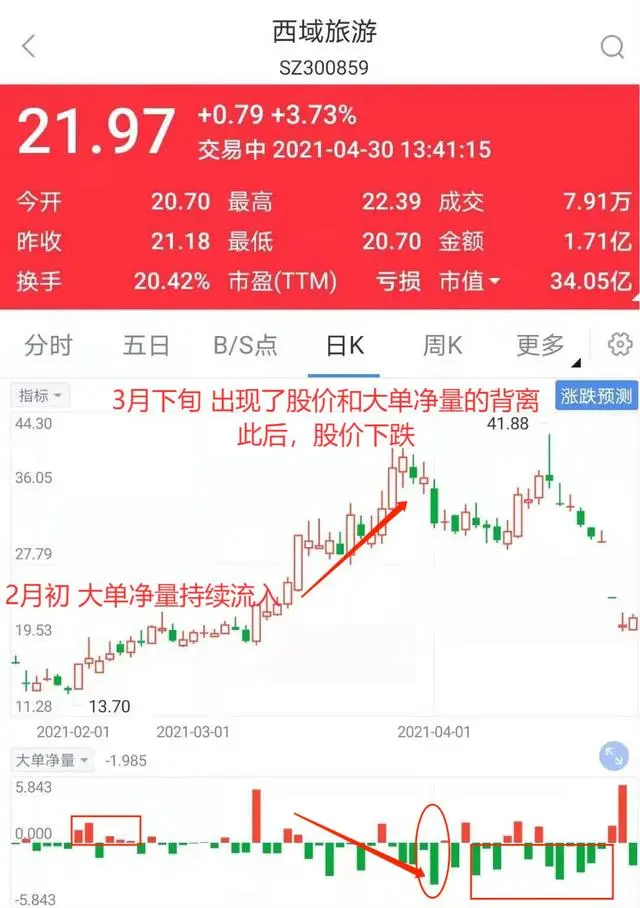 大单净量