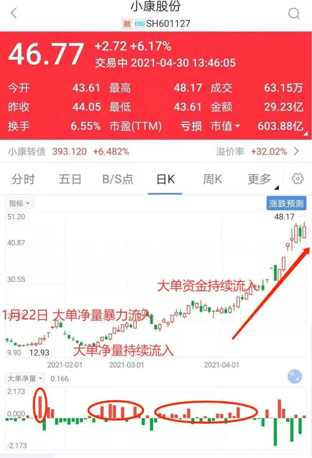 大单净量