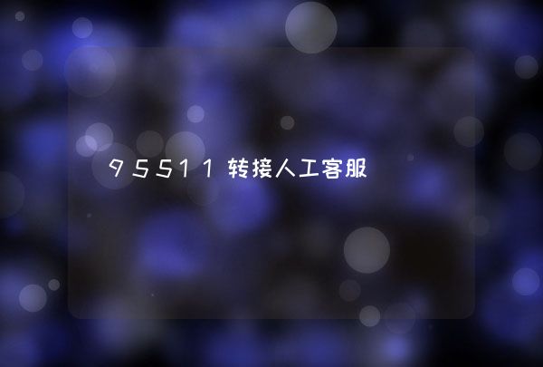 95511转接人工客服,第1张
