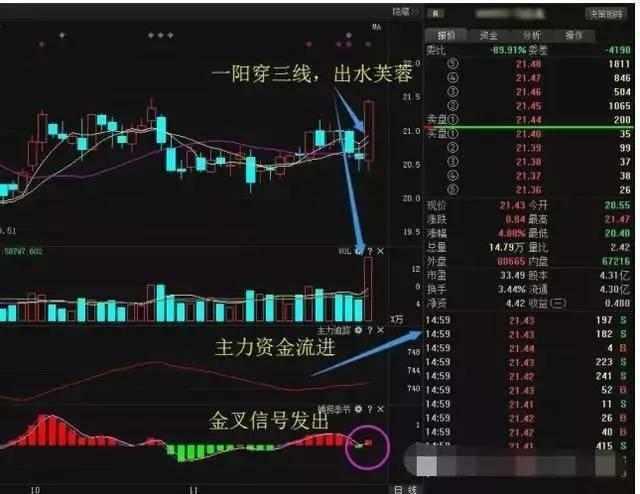 出水芙蓉k线形态