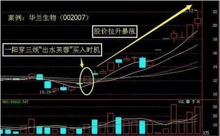 出水芙蓉k线形态