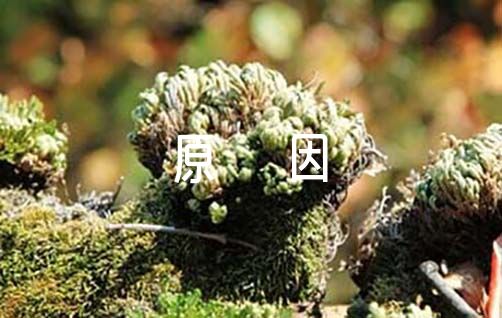 贷款网上申请