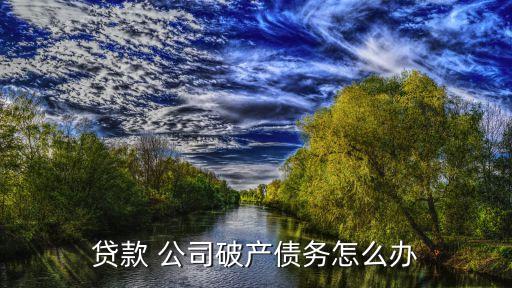 贷款 公司破产债务怎么办