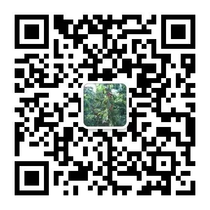汽车银行抵押融资怎么融