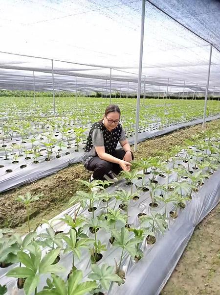 汽车抵押融资哪家好