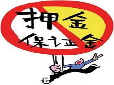 车没有绿本能抵押融资吗