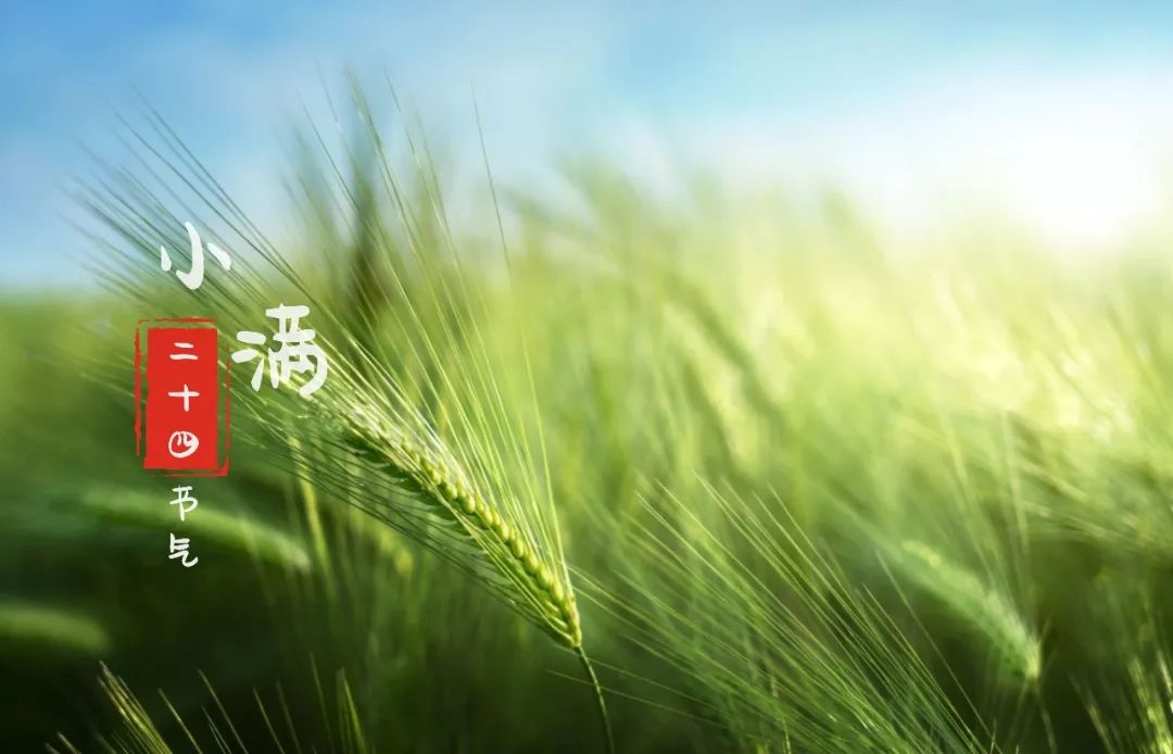 苏州有做抵押融资的吗