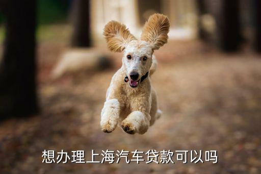 想办理上海汽车贷款可以吗