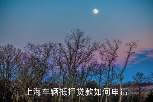 上海车辆抵押贷款如何申请
