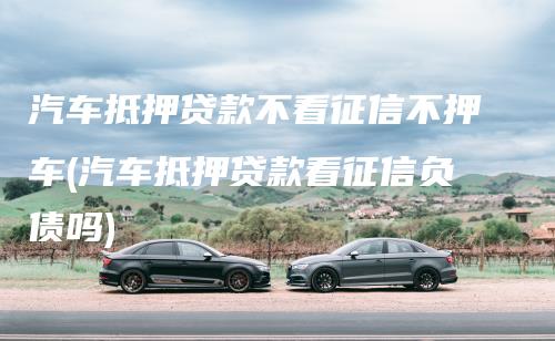 车抵押贷款哪个平台比较好不看征信