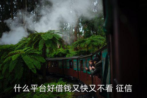 什么平台好借钱又快又不看 征信