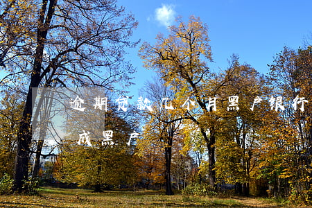 逾期贷款几个月黑户(银行贷款逾期多久会变成黑户)