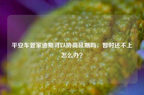 平安车管家逾期可以协商延期吗，暂时还不上怎么办？