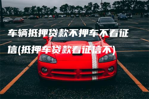 上海不看征信车抵贷有吗