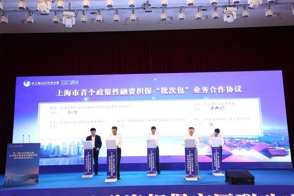 上海松江贷款公司