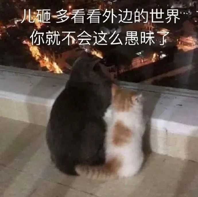 专业贷款平台