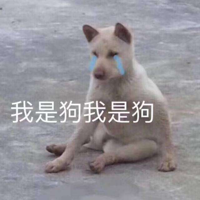 专业贷款平台