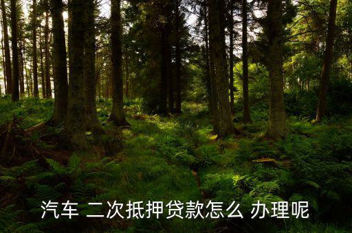 汽车 二次抵押贷款怎么 办理呢
