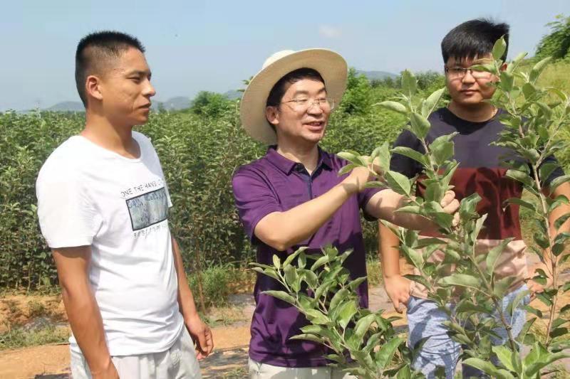 泰安汽车抵押贷款