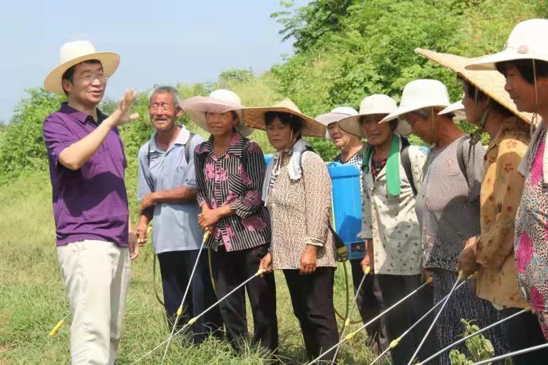 泰安汽车抵押贷款