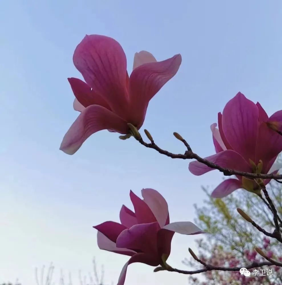 郑州车辆抵押贷款公司