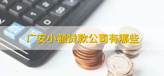 四川瀚华小额贷款有限公司