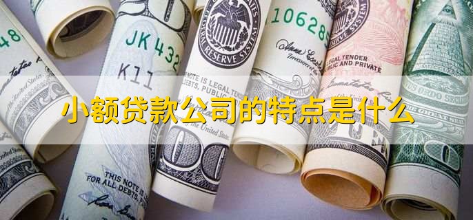 四川瀚华小额贷款有限公司