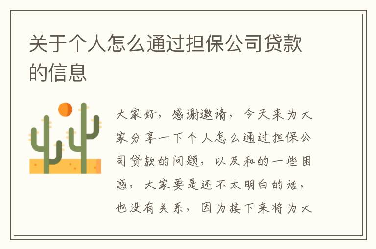 关于个人怎么通过担保公司贷款的信息