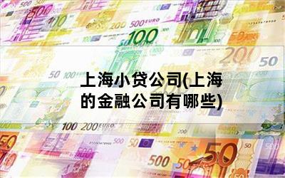 上海小贷公司(上海的金融公司有哪些)