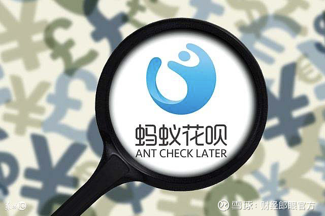 重庆市蚂蚁商城小额贷款有限公司