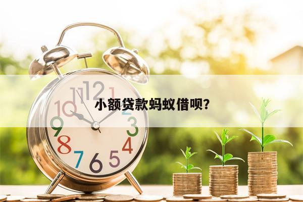 重庆市蚂蚁商城小额贷款有限公司