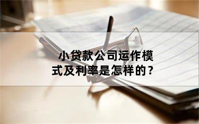 小贷款公司运作模式及利率是怎样的？