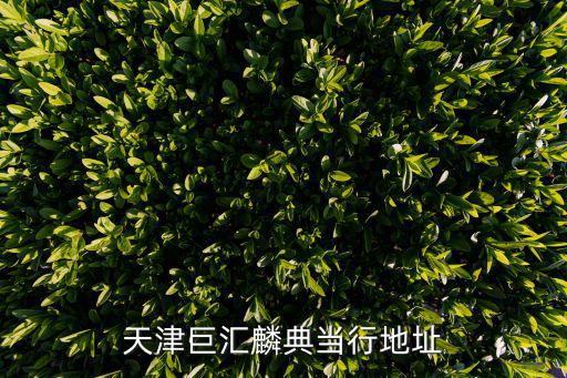 潍坊典当行电话(潍坊市典当行)-添财网