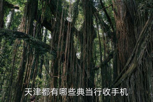 潍坊典当行电话(潍坊市典当行)-添财网