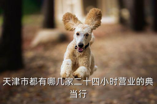 潍坊典当行电话(潍坊市典当行)-添财网