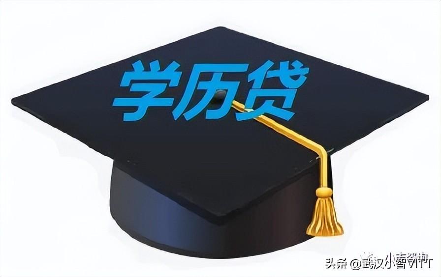 武汉典当行抵押贷款(典当行抵押贷款上征信吗)-添财网