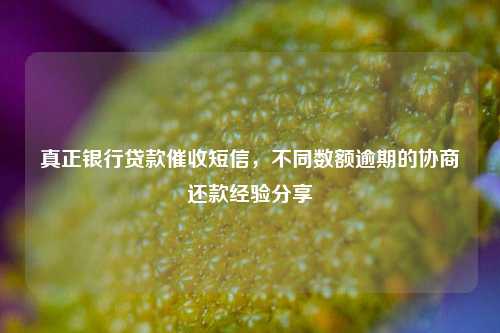 真正银行贷款催收短信，不同数额逾期的协商还款经验分享