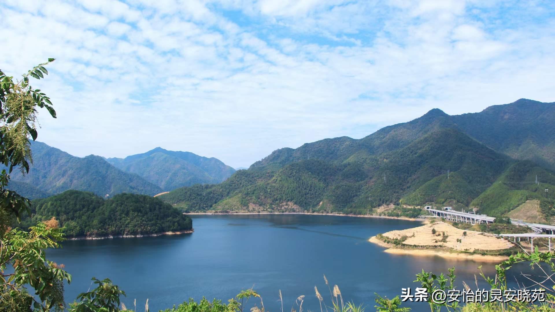 有公司贷款