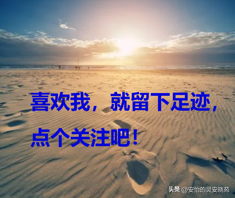 有公司贷款