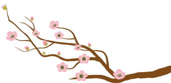 怎么在保险公司贷款