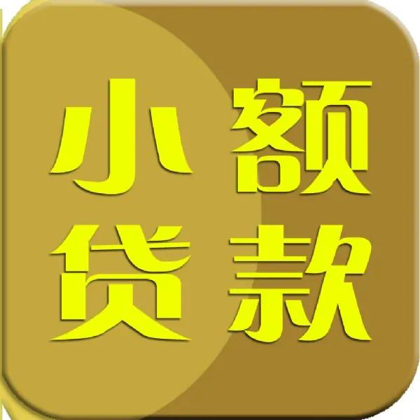 消费贷款公司