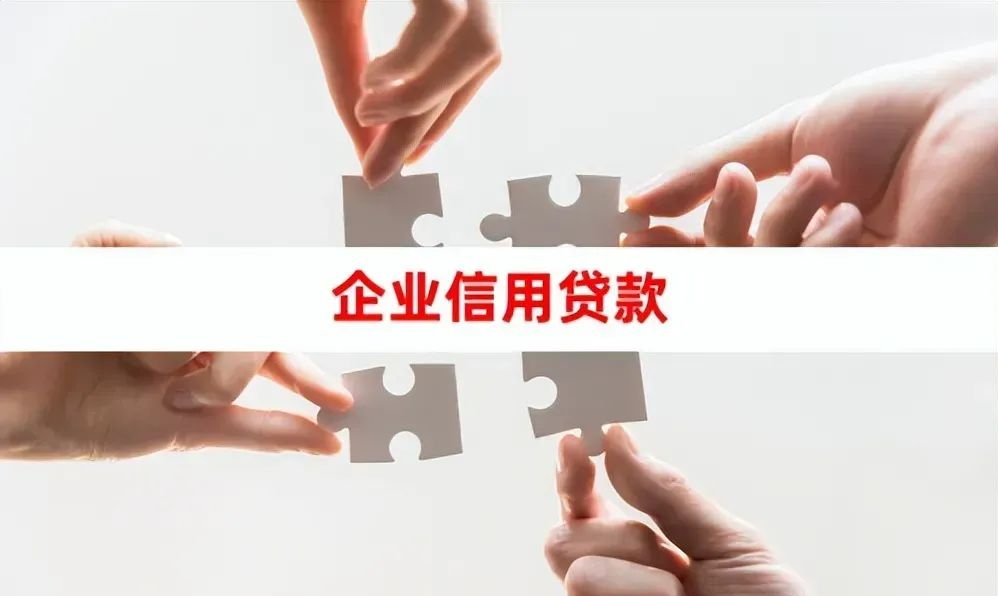 大公司贷款