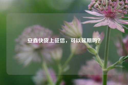 安鑫快贷上征信，可以延期吗？