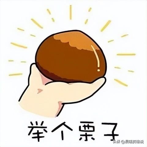 怎么查询公司有无贷款