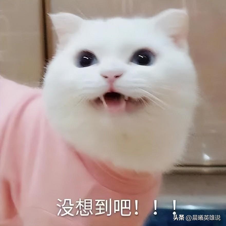 怎么查询公司有无贷款