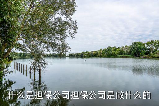 什么是担保公司担保公司是做什么的