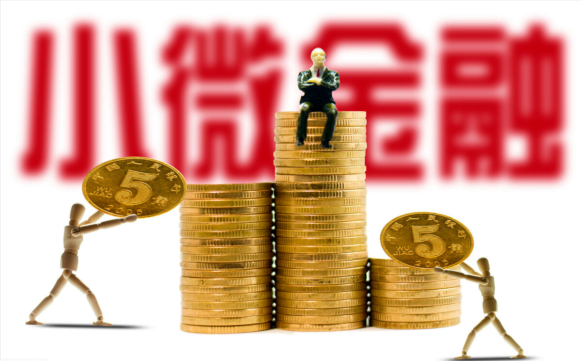 向公司申请贷款