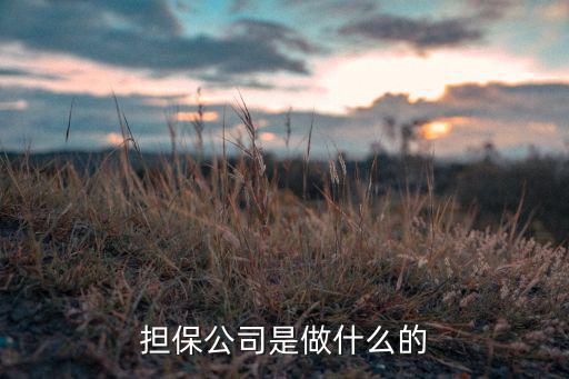 担保公司是做什么的