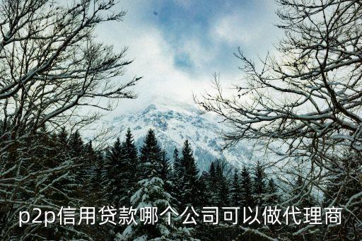 p2p信用贷款哪个公司可以做代理商